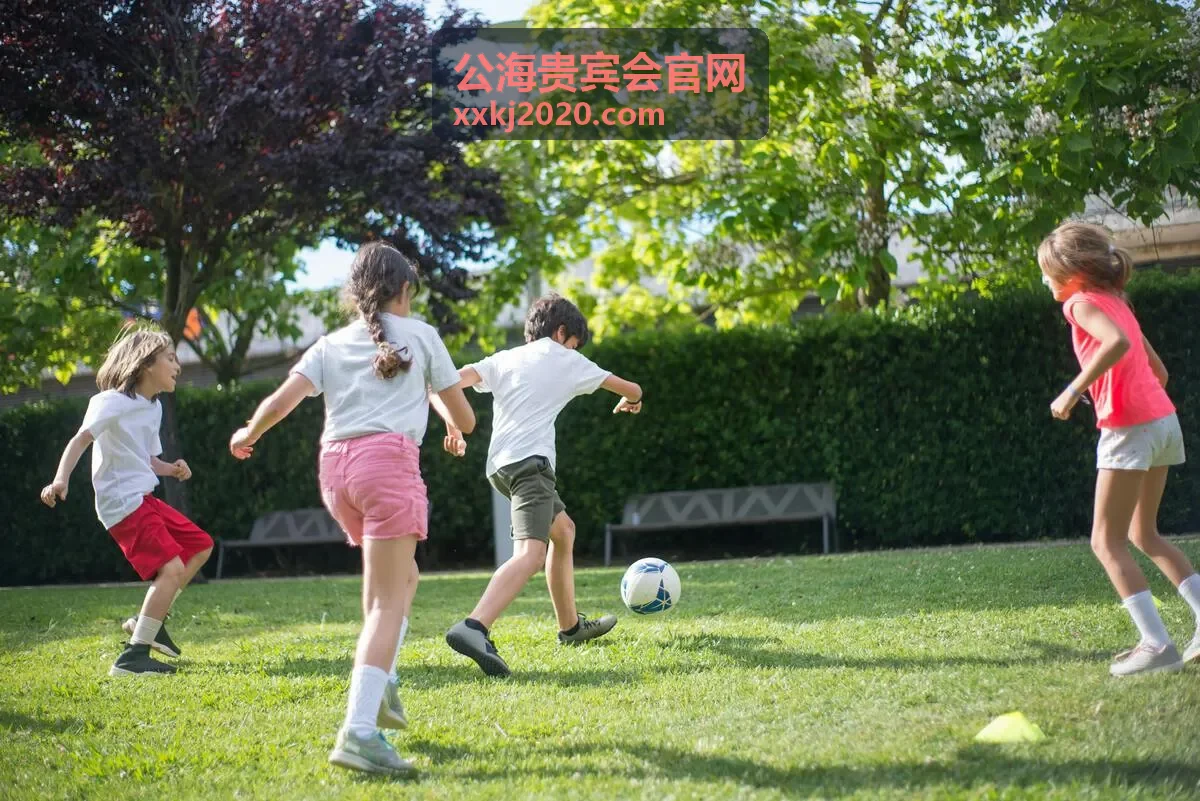公海贵宾会圈层晚宴